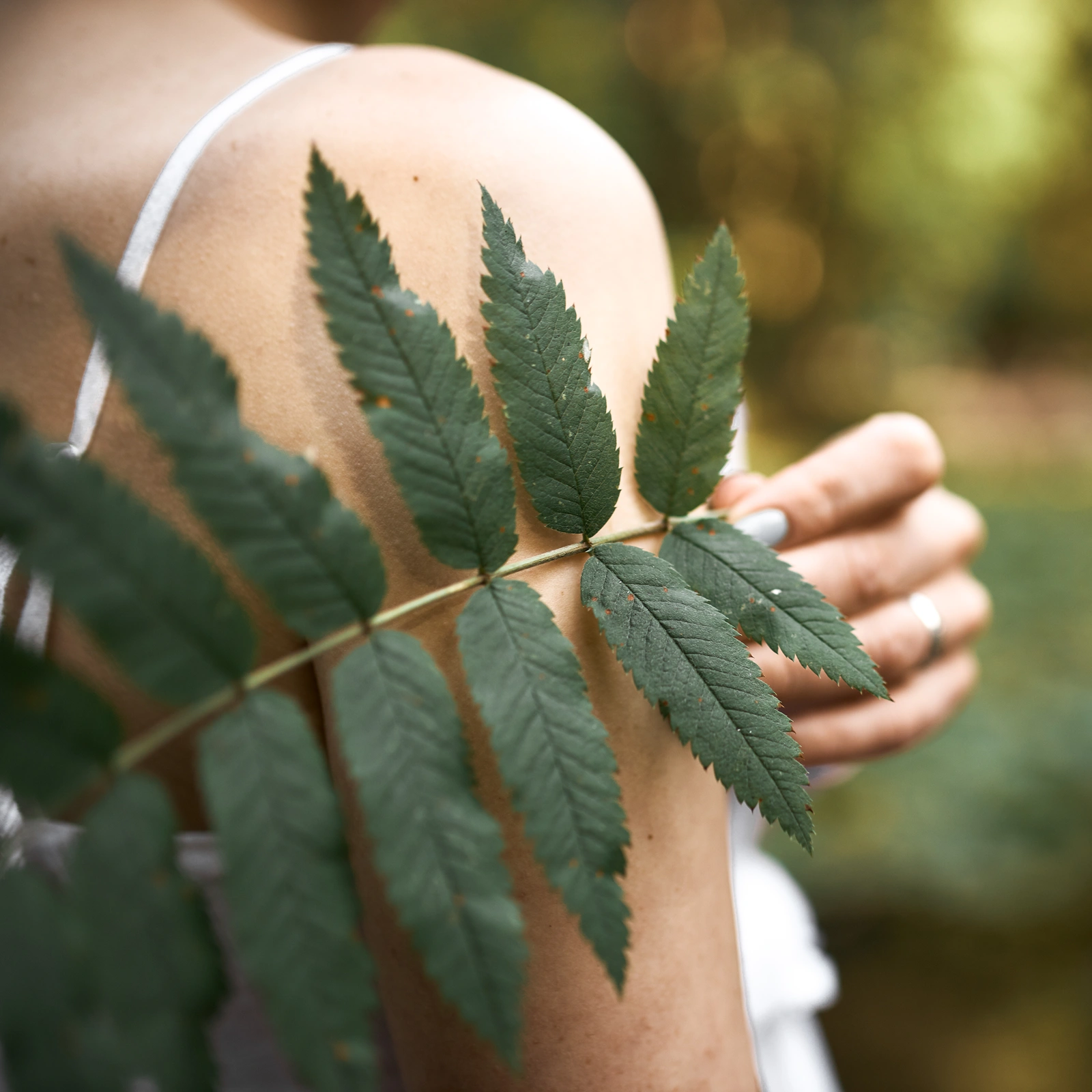 What is Naturopathy